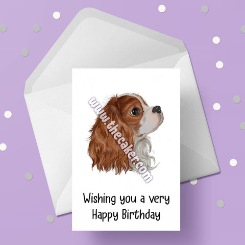 Cavalier King Charles 01 Birthday Card