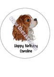 Cavalier King Charles 05 Edible Icing Cake Topper or Ribbon