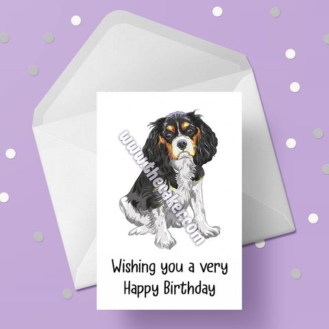 Cavalier King Charles 02 Birthday Card
