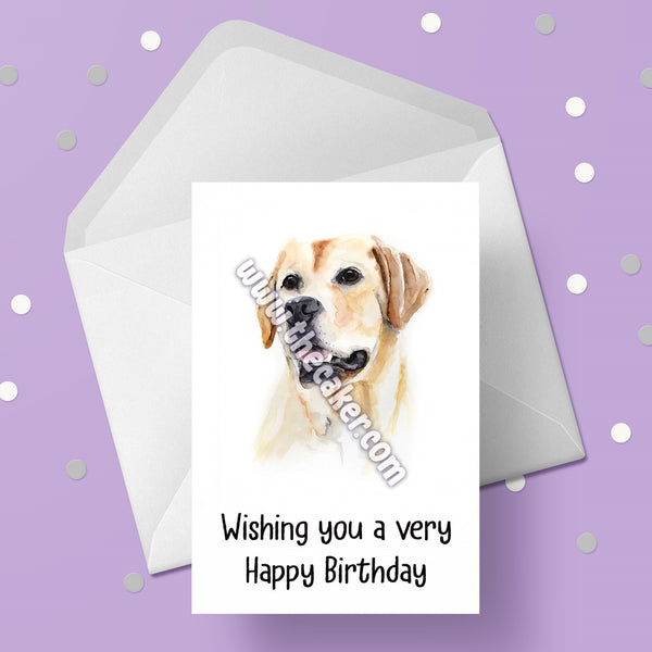 Labrador 02 Birthday Card - Golden Lab Card