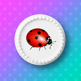 Ladybird Edible Icing Cake Topper