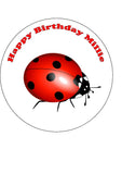 Ladybird Edible Icing Cake Topper