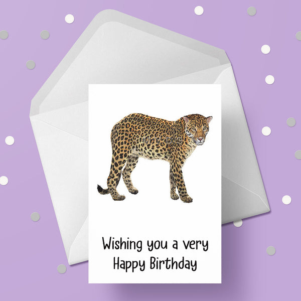 Leopard Birthday Card 05