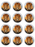 Lion Edible Icing Cake Topper 03