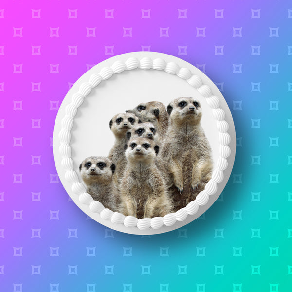 Meerkat Edible Icing Cake Topper 02