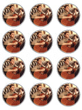 Niall Horan Edible Icing Cake Topper 02