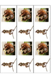 Orangutan Edible Icing Cake Topper 01
