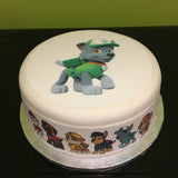 Paw Patrol Rocky Edible Icing Cake Topper