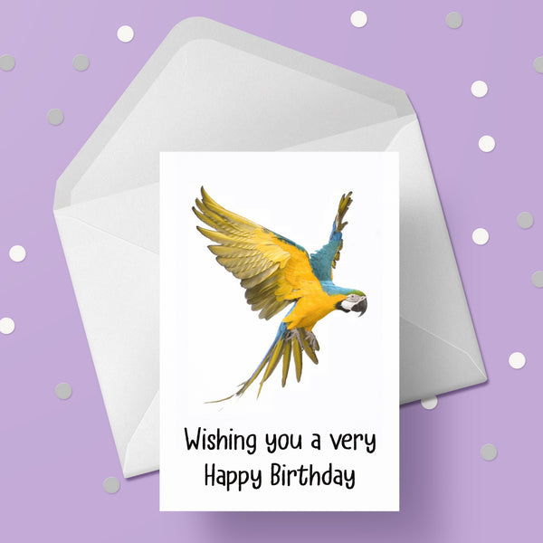 Parrot Birthday Card 05