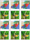 Parrot Edible Icing Cake Topper 01