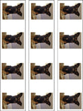 1 x Set of Edible Cake Ribbon, Border, Wrap with your own Image