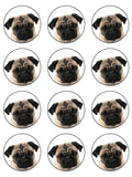 Pug Dog Edible Icing Cake Topper 01