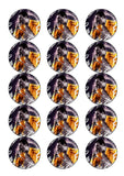 Queen (the band) Freddie Mercury Edible Icing Cake Topper 03