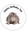 Rat Edible Icing Cake Topper 05