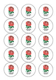 Rugby World Cup Edible Icing Cake Topper 03