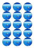 Scuba Diving Edible Icing Cake Topper 02