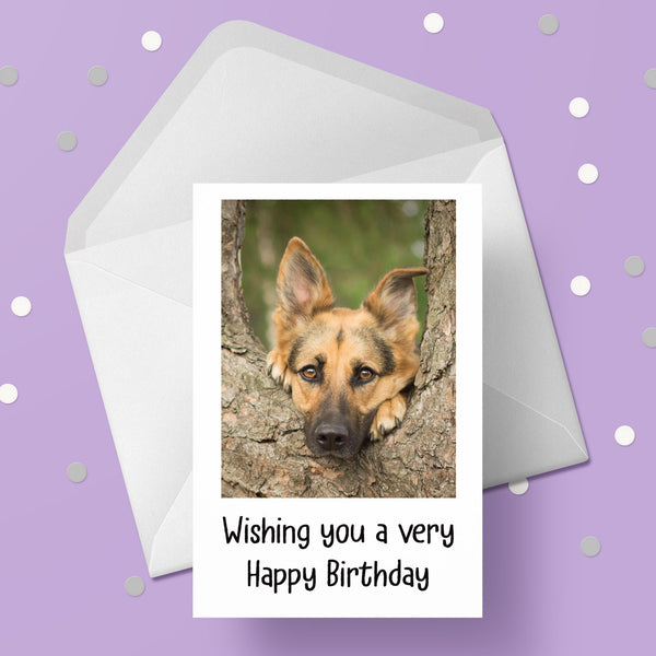 German Shepherd Dog Birthday Card 01