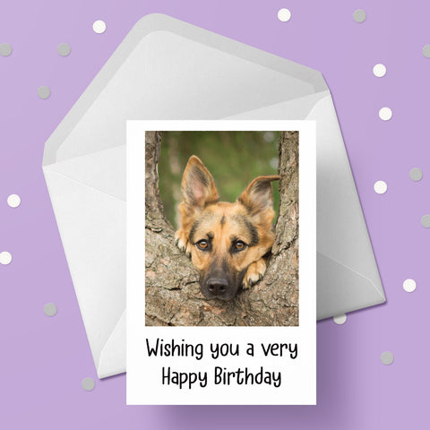 German Shepherd 01 Birthday Card