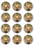 German Shepherd Dog Edible Icing Cake Topper - Alsation 01