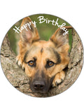 German Shepherd Dog Edible Icing Cake Topper - Alsation 01