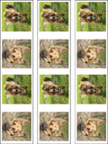 German Shepherd Dog Edible Icing Cake Topper - Alsation 01