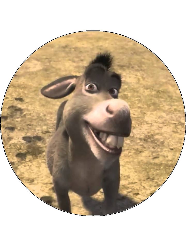 Shrek 03 Edible Icing Cake Topper or Ribbon - Donkey – the caker online