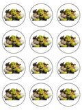 Shrek Edible Icing Cake Topper 02