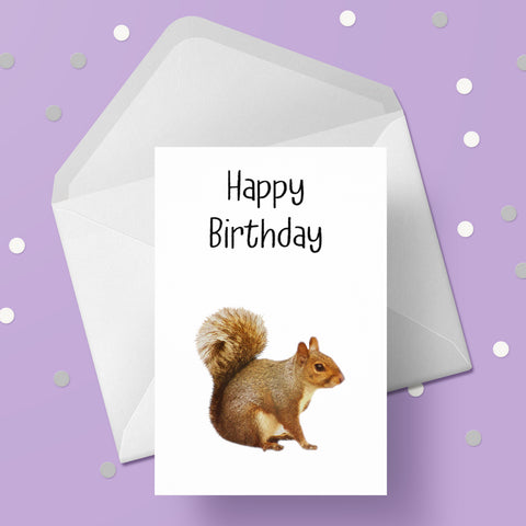 Squirrel 01 Birthday Card