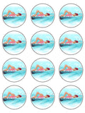 Swim Swimming Edible Icing Cake Topper 03
