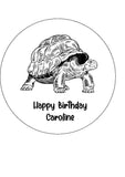 Tortoise Edible Icing Cake Topper 01