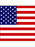 USA American Flag Edible Icing Cake Topper