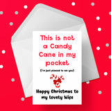 Christmas Card for Wife - Funny pleased to see you