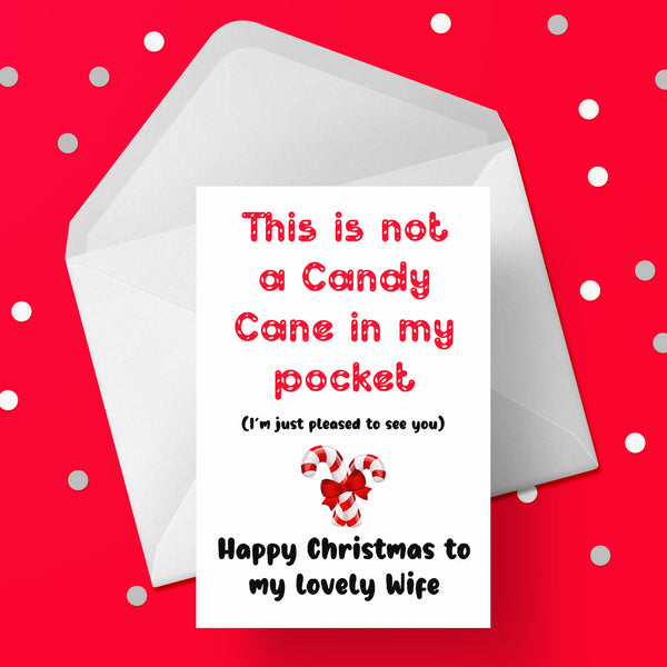 Christmas Card for Wife - Funny pleased to see you