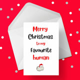 Christmas Card 33 - From the cat - Favourite Human Being