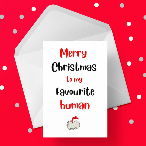 Christmas Card 33 - From the cat - Favourite Human Being