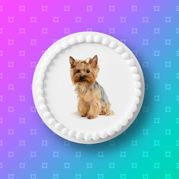 Yorkshire Terrier Edible Icing Cake Topper 03