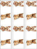 Yorkshire Terrier Edible Icing Cake Topper 02