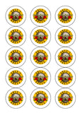 Guns n Roses Edible Icing Cake Topper 03