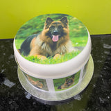 German Shepherd Dog Edible Icing Cake Topper - Alsation 02
