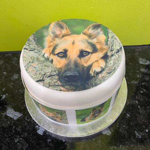 German Shepherd 01 Edible Icing Cake Topper