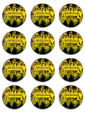 Metallica Edible Icing Cake Topper 01