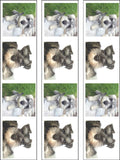 Schnauzer Edible Icing Cake Topper 03